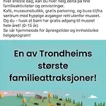 Koselig Studioleilighet I Sentrum Leilighet Trondheim