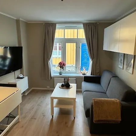 Koselig Studioleilighet I Sentrum דירה טרונדהיים