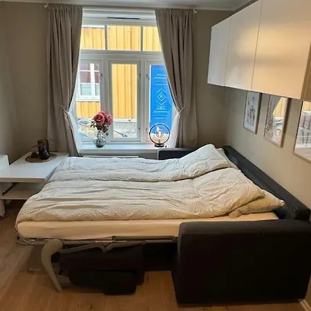 Apartamento Koselig Studioleilighet I Sentrum Trondheim