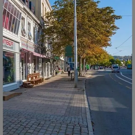 Koselig Studioleilighet I Sentrum Daire Trondheim