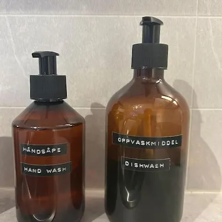 Koselig Studioleilighet I Sentrum טרונדהיים