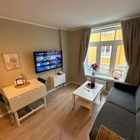 Koselig Studioleilighet I Sentrum * Trondheim