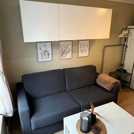 Koselig Studioleilighet I Sentrum Trondheim