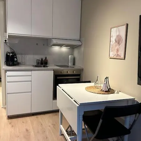Koselig Studioleilighet I Sentrum טרונדהיים