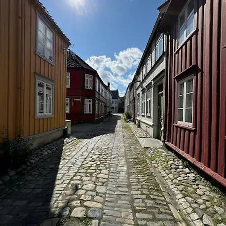 Apartment Koselig Studioleilighet I Sentrum Trondheim