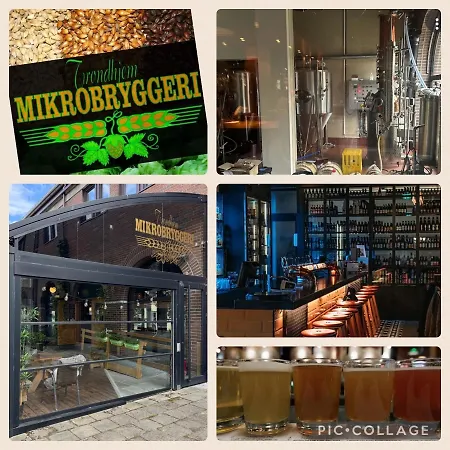 Koselig Studioleilighet I Sentrum Trondheim