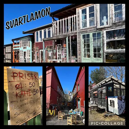 Koselig Studioleilighet I Sentrum