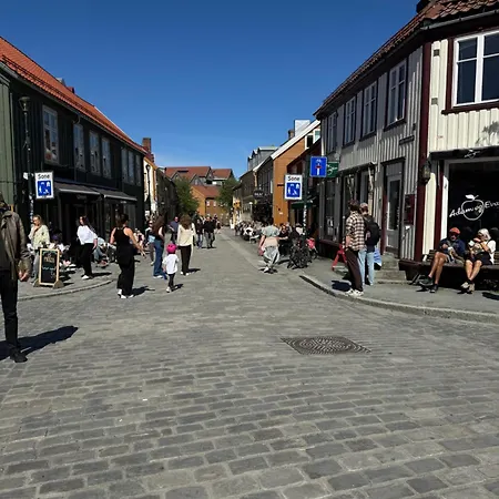 Koselig Studioleilighet I Sentrum トロンハイム