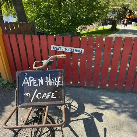 Koselig Studioleilighet I Sentrum דירה טרונדהיים