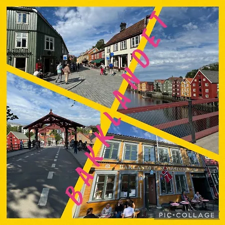 Koselig Studioleilighet I Sentrum * Trondheim