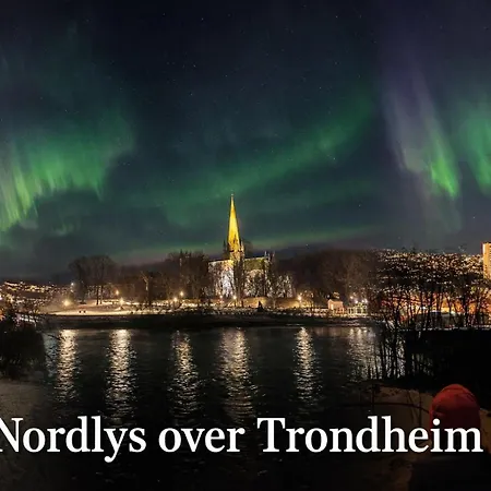 Koselig Studioleilighet I Sentrum Trondheim