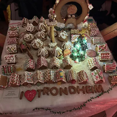 Koselig Studioleilighet I Sentrum *