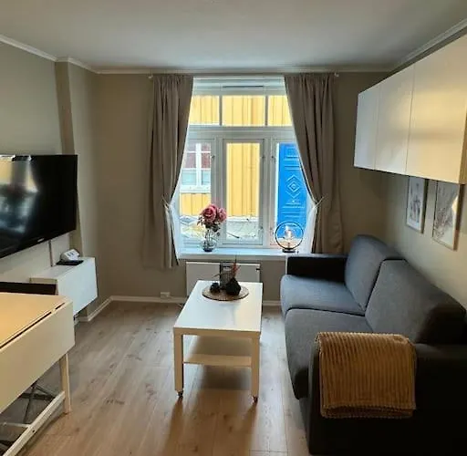Koselig Studioleilighet I Sentrum Апартаменты Тронхейм