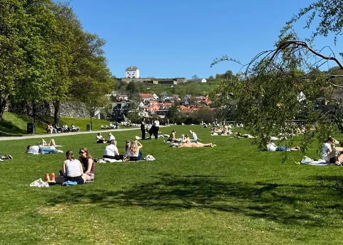 Апартаменты Koselig Studioleilighet I Sentrum