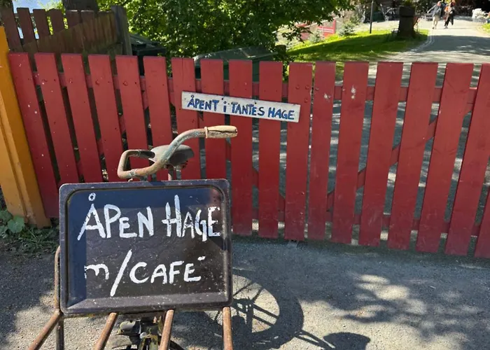 Koselig Studioleilighet I Sentrum Апартаменты Тронхейм