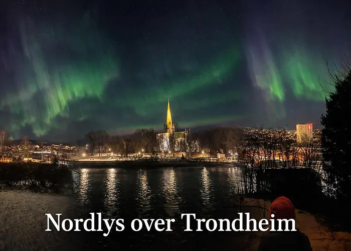 Koselig Studioleilighet I Sentrum Тронхейм